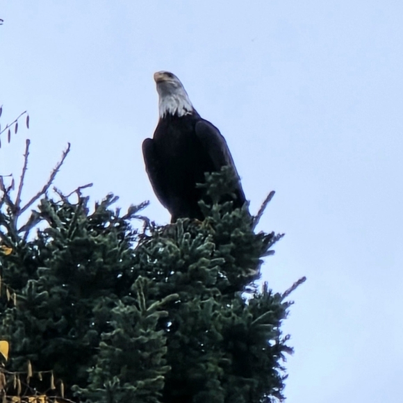 Meet your Posher, Heather - Picture 5 of 11